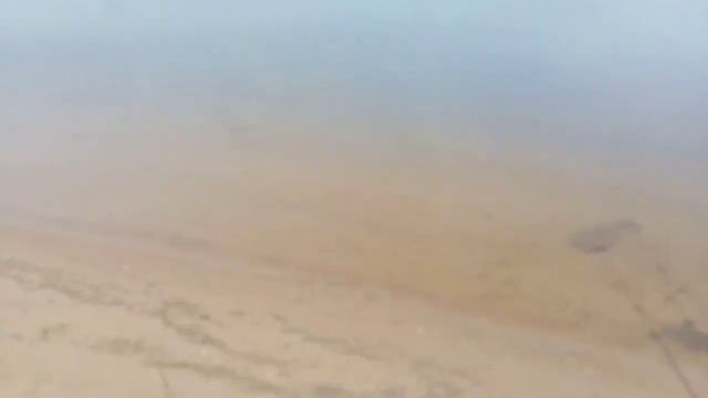 Рыбалка в Казани.рыба есть!подписывайтесь, будет много интересного! #казань #рыбалка #рыбалканадонк смотреть онлайн