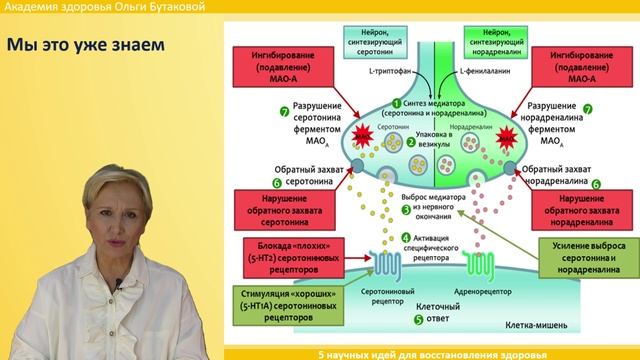 Ольга Бутакова. 5 научных идей для восстановления здоровья