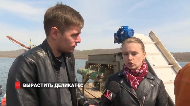 Вырастить деликатес