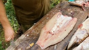 Разделка Щуки Для позёмы!