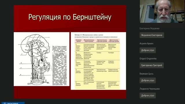 Кодзаев Ю.К. Двигательные системы. Анатомо-физиология. Расстройства. смотреть онлайн