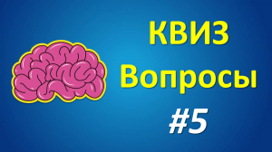 КВИЗ Вопросы #5