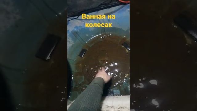 Ванная на колёсах