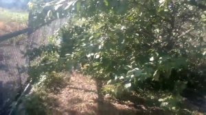 Ураган в Семикаракорске!