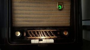 Grundig 2010 корпус бакелит 1952-53 год