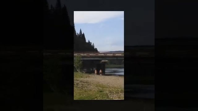 Ассы смотреть онлайн