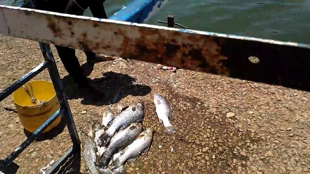 После рыбалки смотреть онлайн