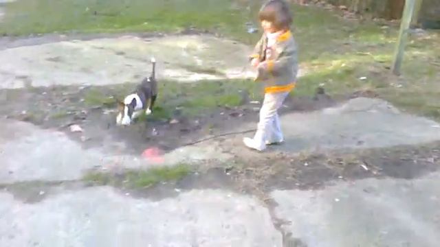 Смешная Няша и новая игра.