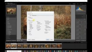 Загрузка мобильных пресетов в Lightroom CC