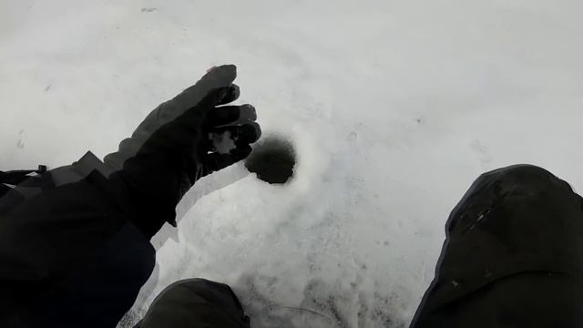 ДАЖЕ ВИДЕО СНИМАТЬ НЕ СОБИРАЛСЯ... Ловля крупного окуня. Зимняя рыбалка 2019. смотреть онлайн