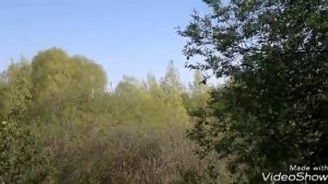 12.05.2018. с.Иванцево, Лукояновский район. Нижегородская область
