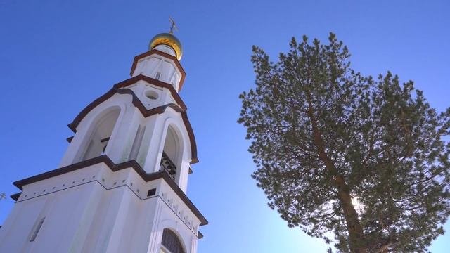 #ВидеоОткрытка