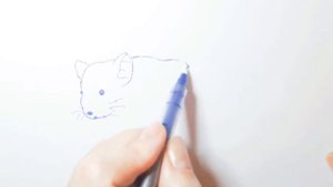 Как нарисовать Шиншиллу||How to draw a Chinchilla