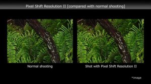 PENTAX K-1 Mark II: Pixel Shift Resolution System II