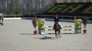 Соревнования по конкуру . ЛАУЗЕР| Лошади на продажу | Будённовская порода лошадей