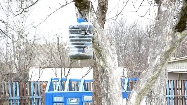 Бункерная кормушка для синиц