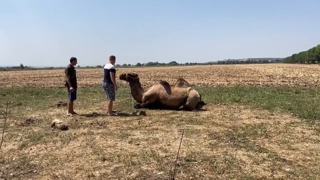 На отдыхе хорошо, а «дома» лучше.