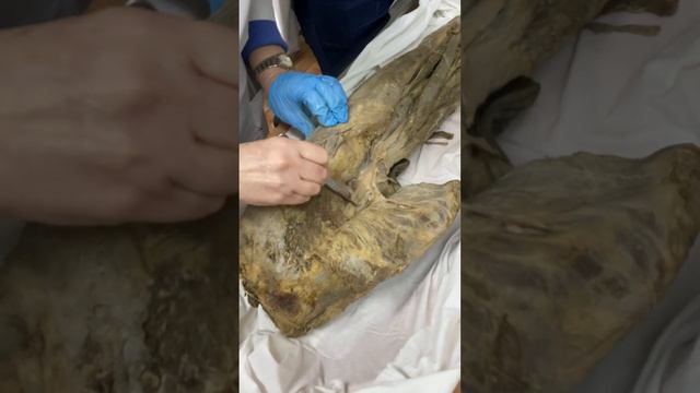 5 December смотреть онлайн