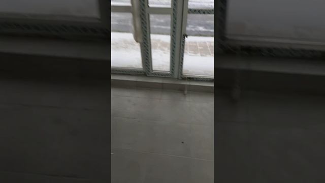 Укладка плитки в магазине пол.
