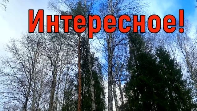 31 октября День Луки. Что нельзя делать 31 октября. Народные традиции и приметы и суеверия