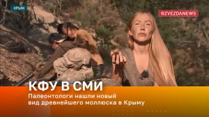 Палеонтологи нашли новый вид древнейшего моллюска в Крыму