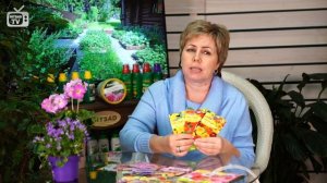 Цветы для сада ? ТОП 6 летников, которые можно сеять прямым посевом в грунт. GARDEN FLOWERS