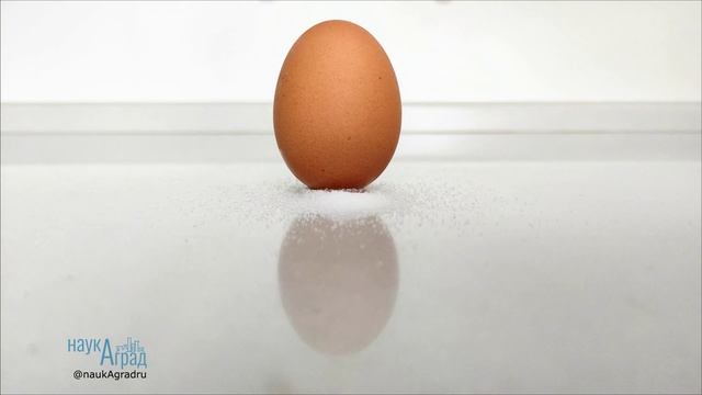 КАК ПОСТАВИТЬ ЯЙЦО ВЕРТИКАЛЬНО?