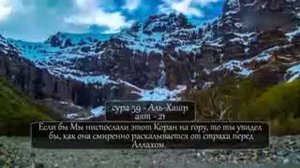 Али Мединский мощное чтение Корана