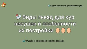 Виды гнезд для кур несушек и особенности их постройки