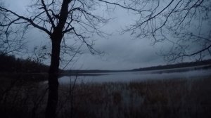 На вечерку за уткой и к фото-ловушке заодно.  26 Октября 2021