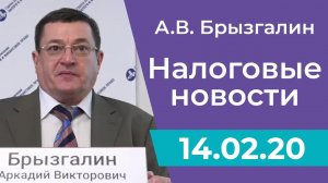 Налоговые новости от Аркадия Брызгалина 14 февраля 2020 г.