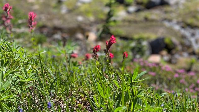 Евангелие от Марка 5 глава смотреть онлайн