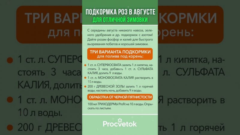 Чем подкормить розы в конце лета? Сохраняйте в закладки!