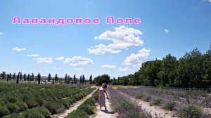 Лавандовое Поле в Анапе. Обзор и стоит ли его посещать?