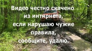 УАЗ Patriot глохнет при нажатии на педаль тормоза и при включении задней передачи. Решено