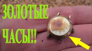ЗОЛОТЫЕ ЧАСЫ НА КОПЕ! Коп с металлоискателем Эквинокс 800