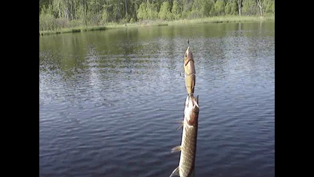 27.05.2011 смотреть онлайн