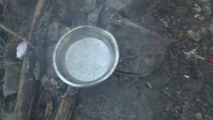 Остров. В поисках следов Викингов. Карельский перешеек. Находок нет.