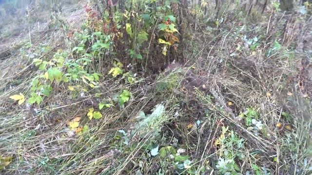 Металлокоп НАШЁЛ КОЛОДЕЦ А В НЁМ...#14 СЕРИЯ ТОННЫ МЕТАЛЛА УАЗ ХАНТЕР ПОИСК МЕТАЛЛОЛОМА смотреть онлайн