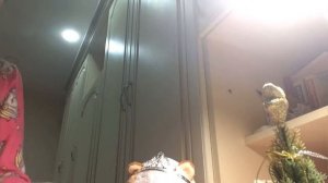 Басик и лили празднуют «НОВЫЙ ГОД»