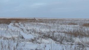 Тайга с двс МАТИЗ 0.8 (По глубокому снегу)