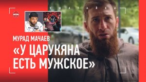 МАЧАЕВ: "Психологи лезут в Дагестан с пропагандой феминизма" / Махачев и Царукян, позиция ШЛЕМЕНКО