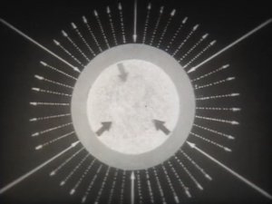 Физика. Атомная и ядерная физика. Ядерные реакции