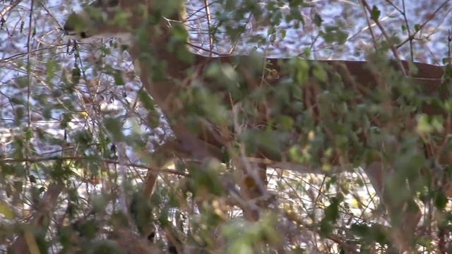 Top 10 Scariest CLASSIC Creepypastas (Halloween Special!) смотреть онлайн