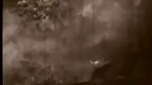 Руки прочь от Вьетнама! 1969 год