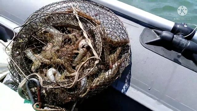 РЫБАЛКА В КРЫМУ ЛЕТОМ. ЛОВИМ АЗОВСКОГО БЫЧКА В МЫСОВОМ, В БУХТЕ "РУССКАЯ", НА КАЗАНТИПЕ.