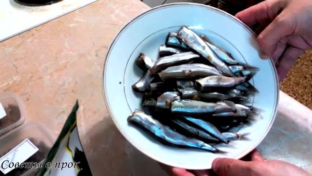 ➤ МОЙВА》Копеечная рыба полезнее красной! ➤
