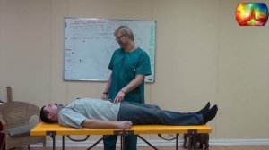 Мастер-класс Остеопатия, методы работы остеопата,  Козиков О В, остеопат москва