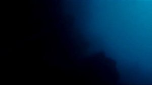 Наталья Авсеенко (Natalia Avseenko)... Тренировочный нырок на 76 м. 2005