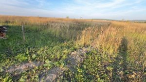 Кочкурово Мордовия